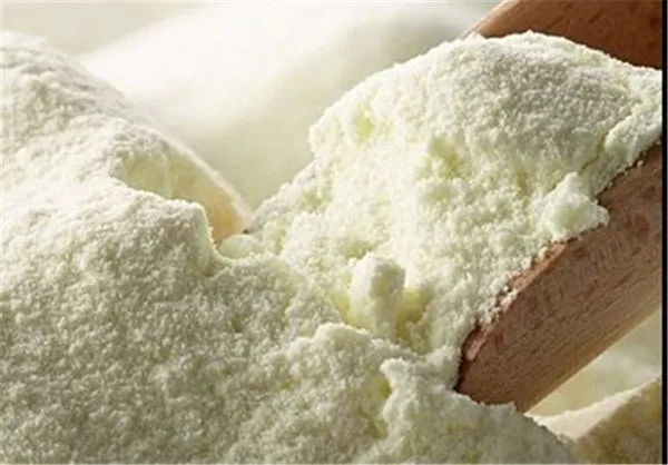 ۱.۵ میلیون یورو مواد اولیه شیرخشک در گمرکات در حال فساد است!