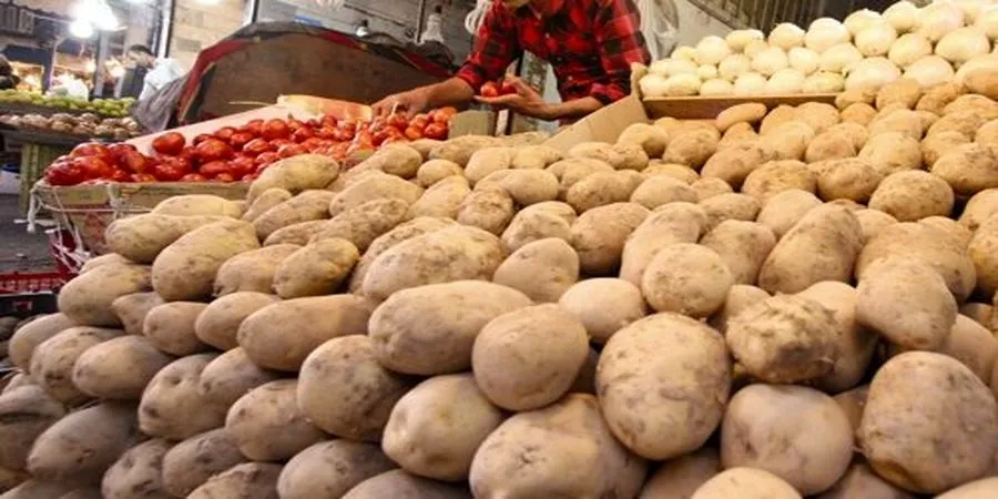افزایش مجدد قیمت سیب‌زمینی