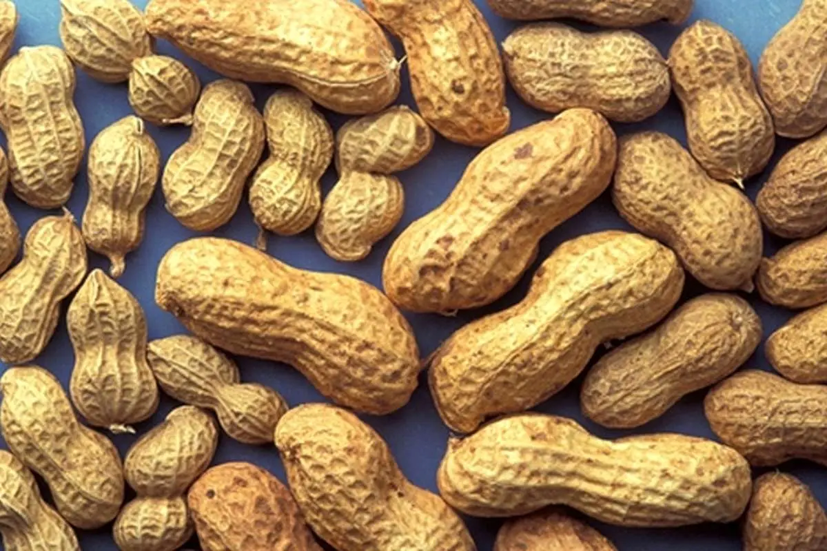 راهکار عجیب برای درمان آلرژی به بادام‌زمینی