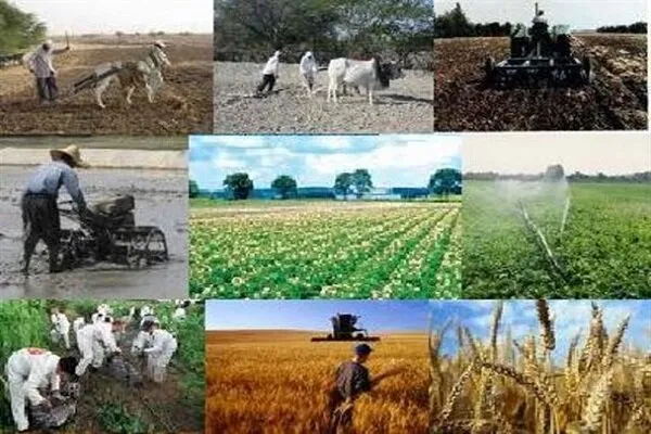  چالش‌های خرید توافقی مازاد محصولات تولیدی برای دولت
