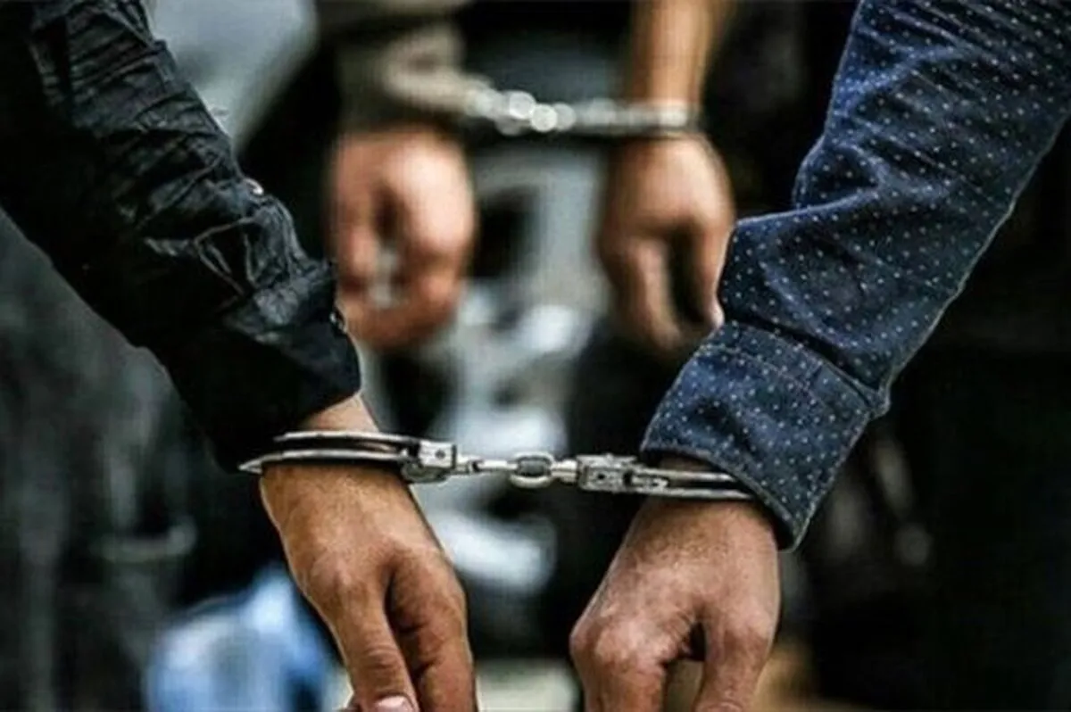 آمار خبرگزاری فارس از ترکیب سنی بازداشتی‌های حوادث اخیر
