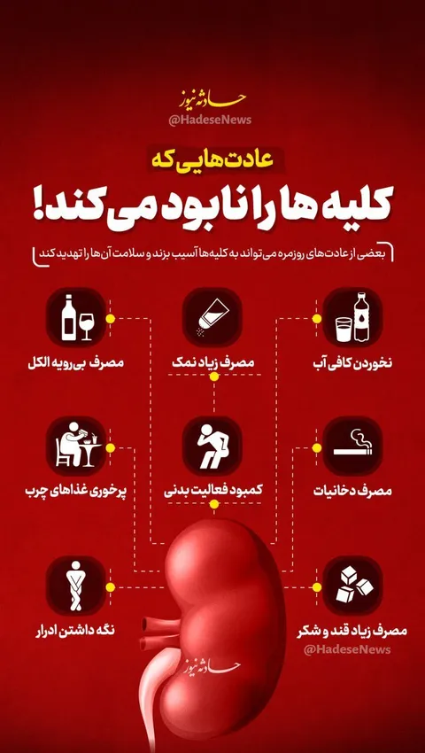 اینفوگرافی/عاداتی که کلیه‌ها را نابود می‌کند!