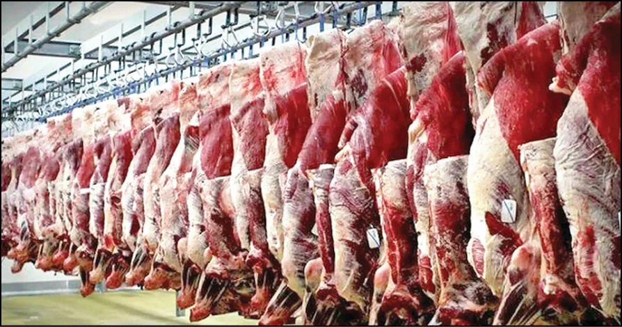 احتمال کمبود گوشت در ماه‌های آینده