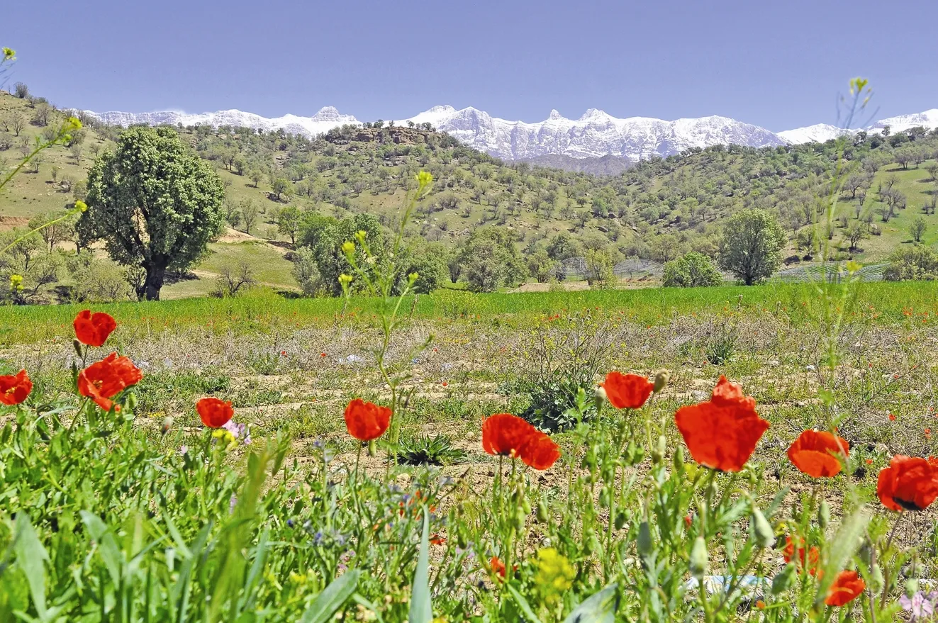 تنوع زیستی ایران به اندازه کل قاره اروپاست