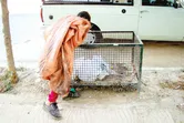 کودکان کار کمتر دیده می‌شوند، اما بیشتر در معرض خطرند / از ترک تحصیل تا کار در کارگاه‌های زیرزمینی