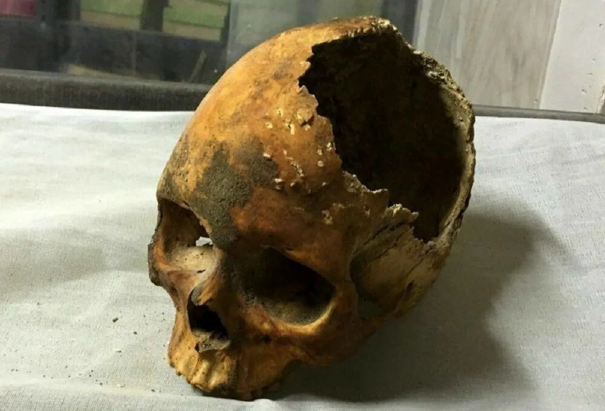 رونمایی از جمجمه نادرشاه پس از ۲۷۰سال
