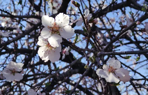 بهار خلوت و دیدنی تهران در روزهای نوروز
