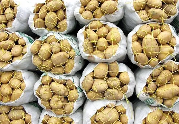 ۷۰ درصد تولید در مناطق سردسیری است