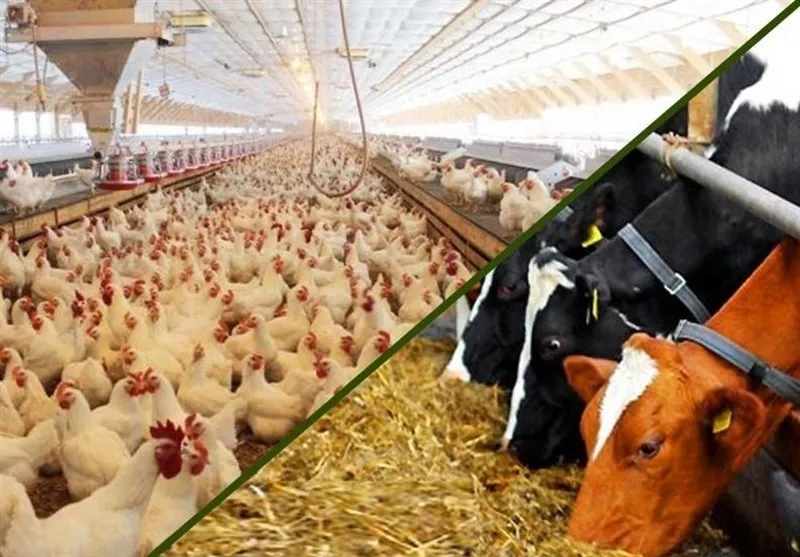 پوست خربزه دولت آقای روحانی زیر پای دولت بعد