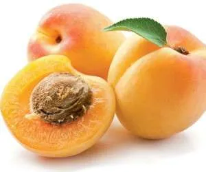 مضرات خوردن مغز هسته زردآلو