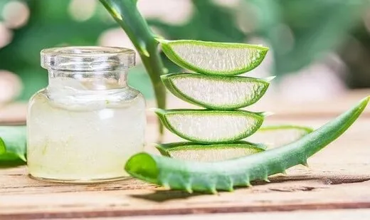 ۶ خاصیت معجزه آسای  آلوئه ورا