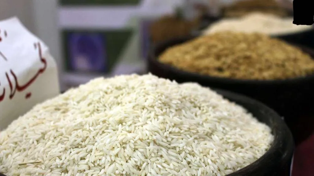 قیمت برنج ایرانی چقدر گران‌تر می‌شود؟ /حذف برنج ایرانی از سفره طبقه متوسط