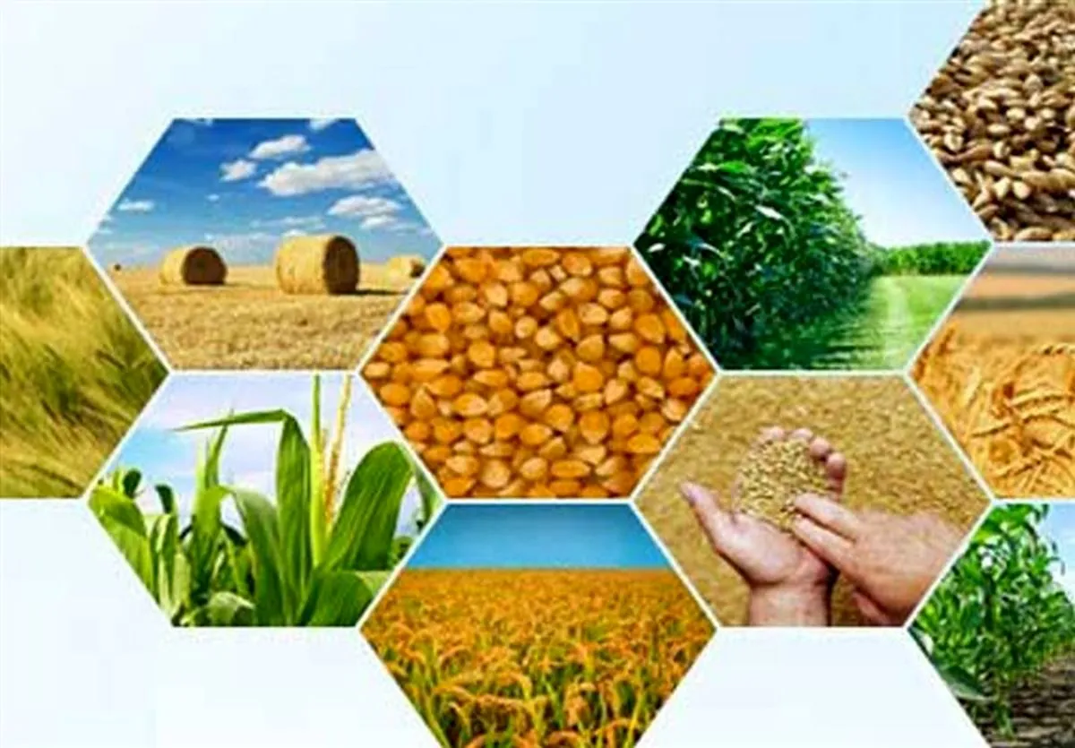 افزایش ۹۰ درصدی قیمت برخی محصولات کشاورزی