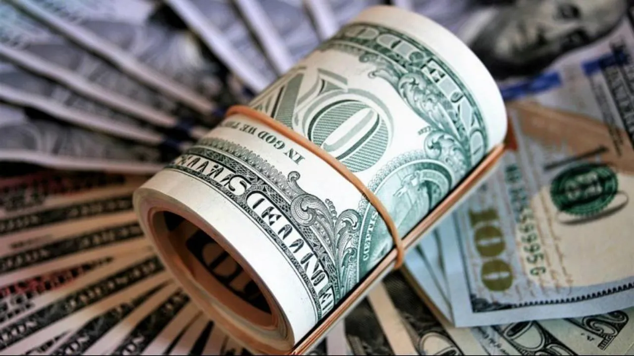 حذف ارز ۴۲۰۰ تومانی به صلاح نیست