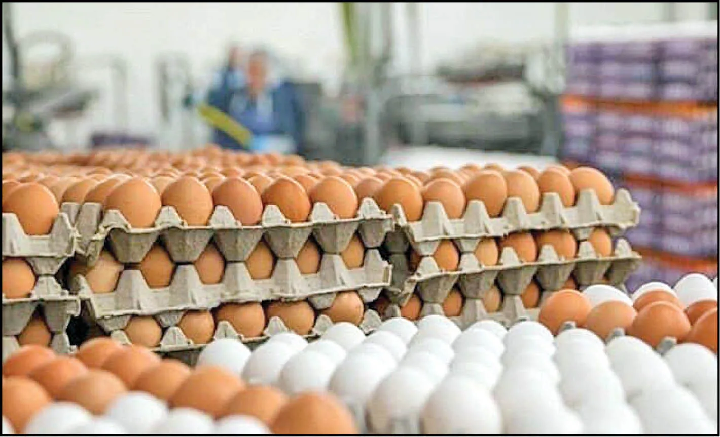 کاهش ۱۰ درصدی قیمت تخم مرغ
