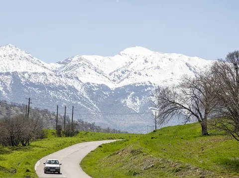 مخمل کوه در گستره زاگرس - لرستان