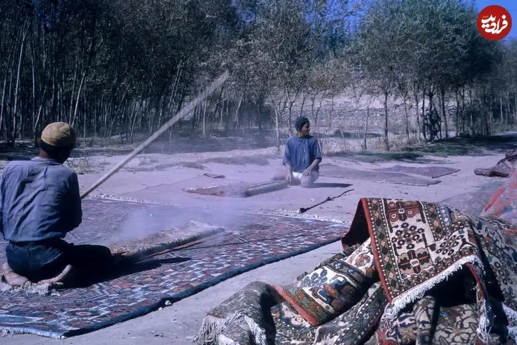 تصویری از تکاندن خاک قالی با چوب