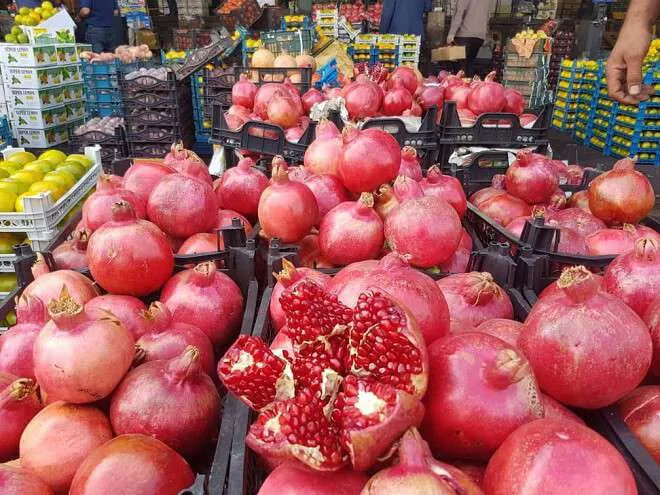 افزایش تقاضا برای انار، پرتقال و نارنگی