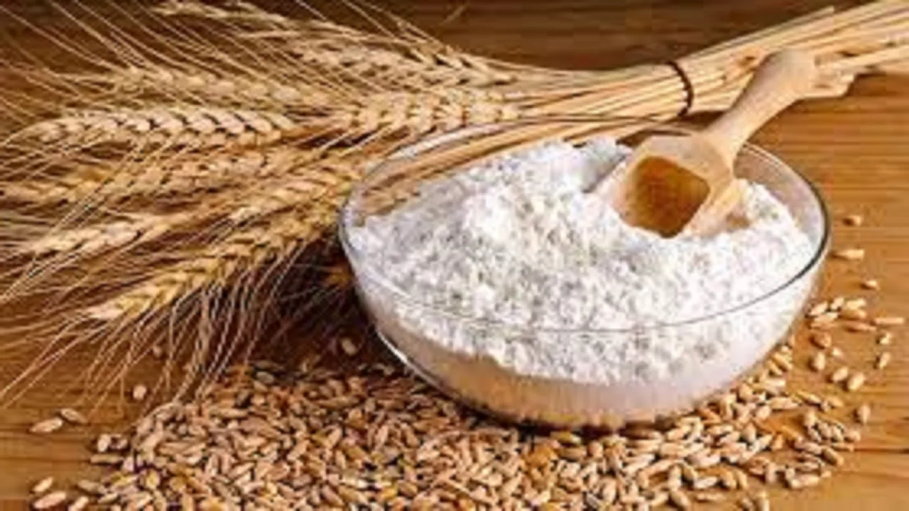 قیمت انواع آرد گندم در بازار