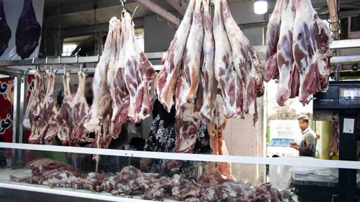توزیع گسترده گوشت گوسفند روسی در بازار