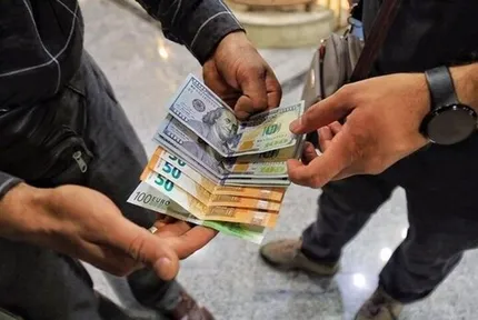 بازدهی بازار ارز در هفته نخست مهر ۱۴۰۵ / دلار هرات صدرنشین شد، یورو و درهم رکورد زدند