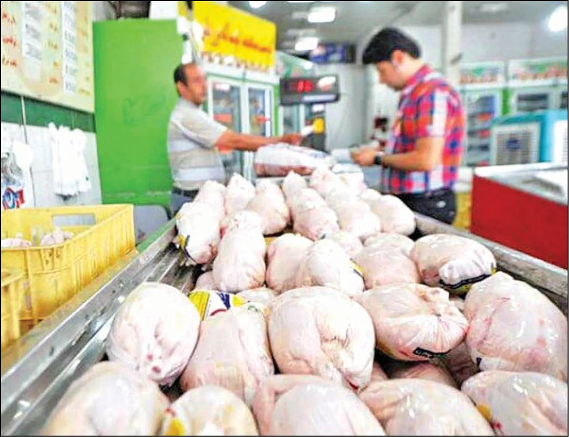 سقف‌شکنی قیمت‌ها در بازار مرغ