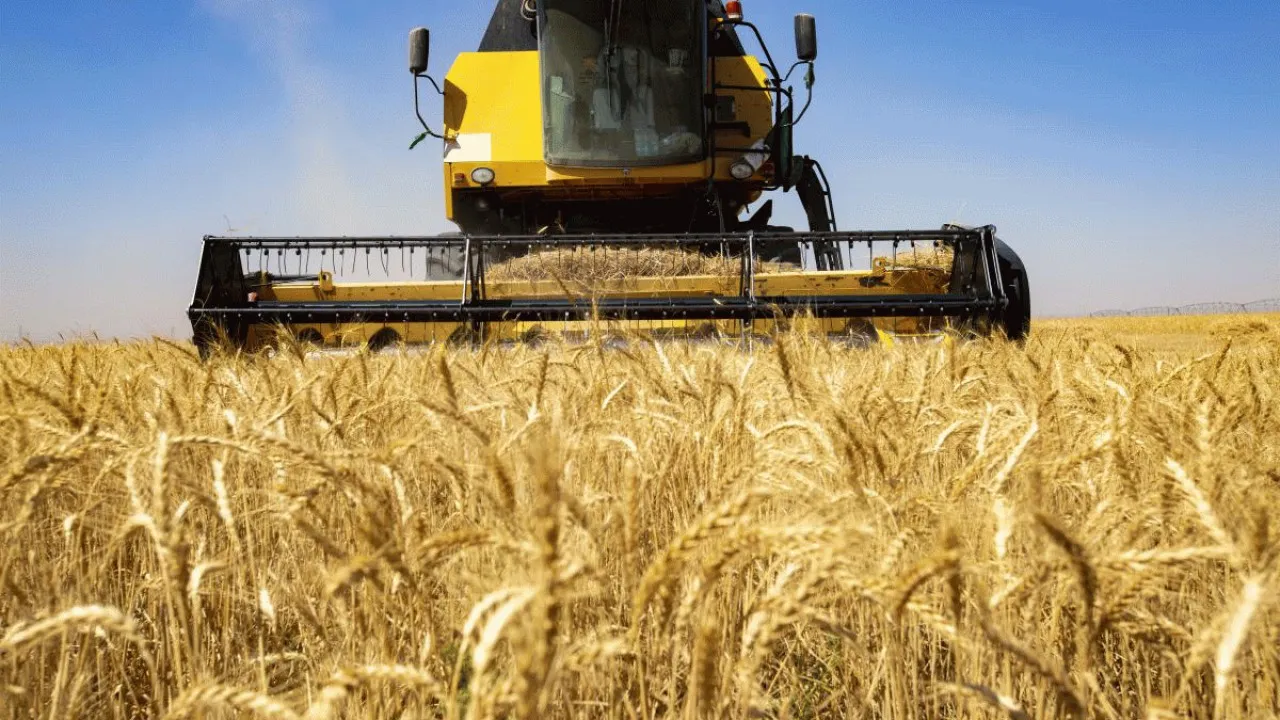 تاثیر اصلاح قیمت گندم بر میزان خرید