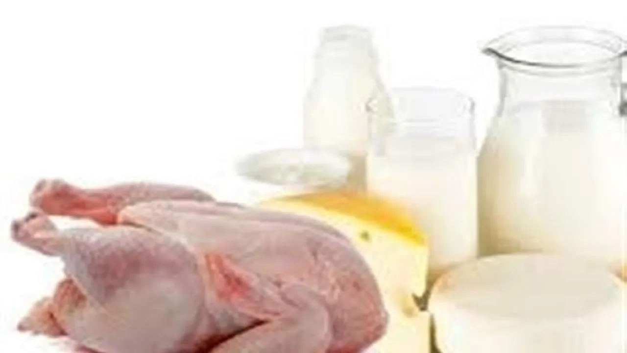 کاهش قیمت ۱۰ درصدی در خصوص پنیر اجرایی شد