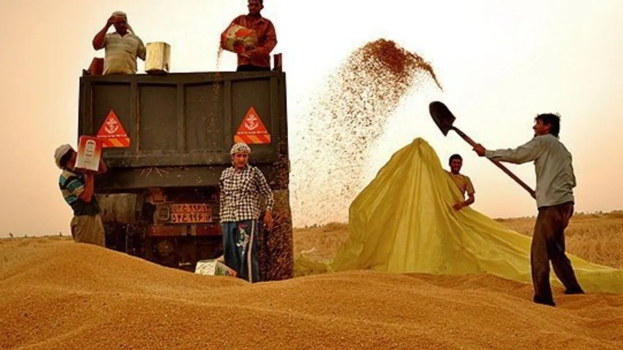 انتقاد از اقدام غیرقانونی دولت در اصلاح نرخ گندم