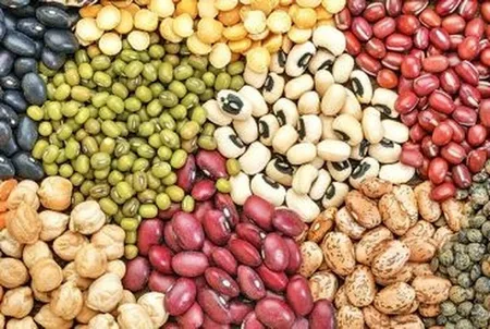 واردات حبوبات تسهیل شد/ ثبت سفارش از ۱۲ شهریور
