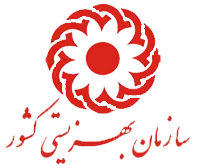 فرزندان بهزیستی صاحب خانه می‌شوند