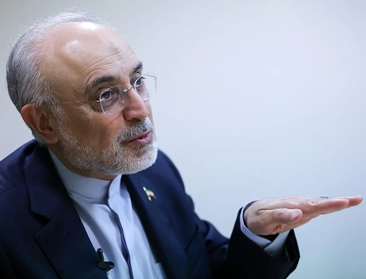 علی‌اکبر صالحی: توافق با عربستان اتفاقی نسبتاً به‌موقع برای خروج از بن بست بود؛ اگرچه تعلل شد