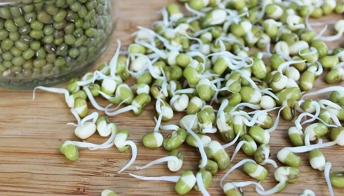 این گیاه قاتل چاقیست