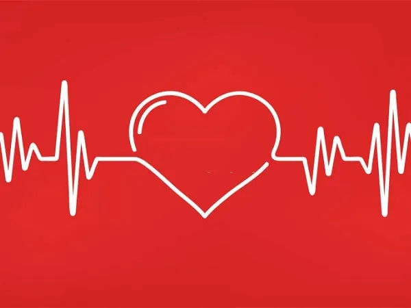 غذا‌های فوق خطرناک برای قلب