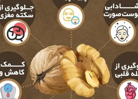 خواص گردو برای بانوان! + اینفوگرافی