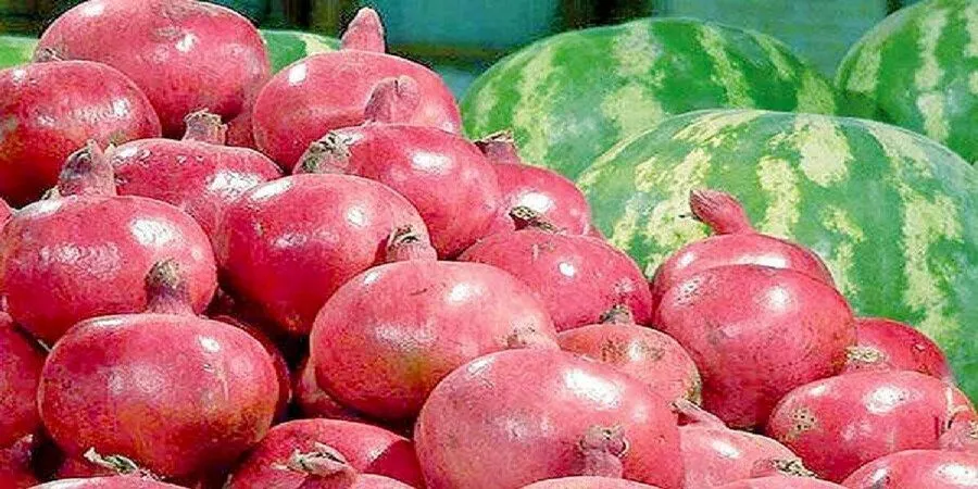 میوه ۶۰ درصد گران شد/ شب یلدا میوه فروشان از سودشان چشم پوشی می‌کنند؟