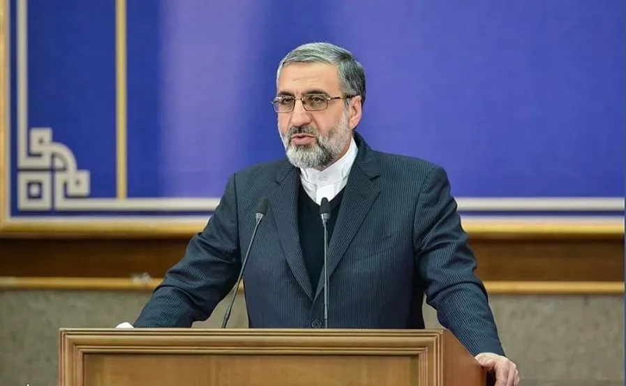 سخنگوی قوه قضاییه: اقدامات پلیس بین‌الملل برای بازگرداندن میلاد حاتمی به ایران