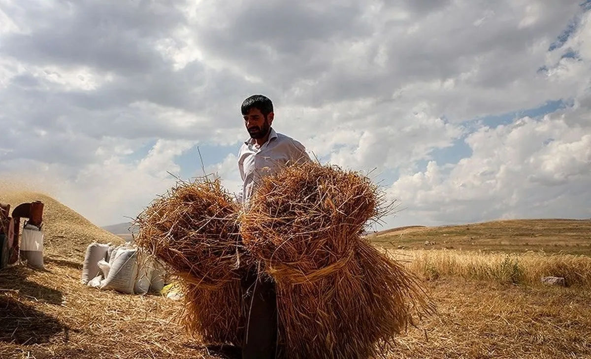  خشکسالی ضعیف تا بسیار شدید در بخش کشاورزی