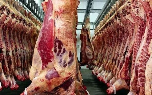 ۸۵۰ هزار تن گوشت قرمز مازاد داریم