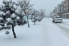 پیش بینی یخبندان سخت برای امشب ۲۵ آذر ۱۴۰۳