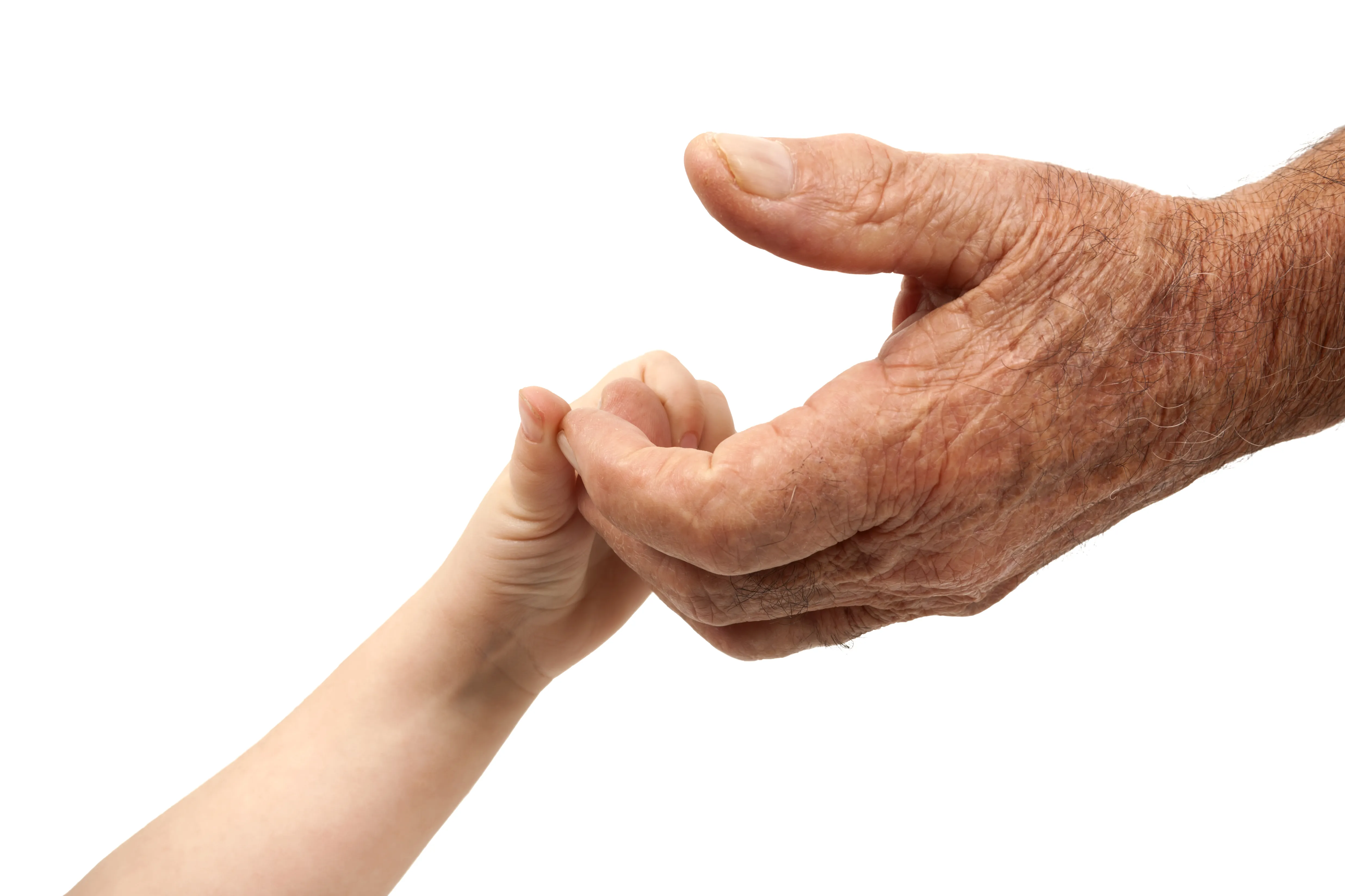 چند گام ساده برای افزایش طول عمر
