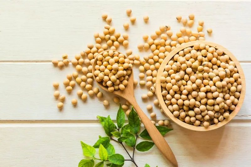 تاثیرات مثبت سویا و مشتقات آن بر حافظه و مغز