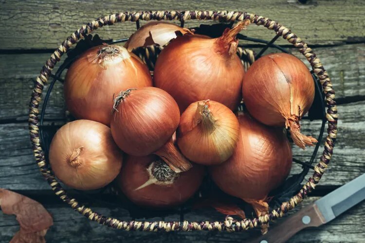 پیاز جوانه‌زده را دور بریزیم؟ بهترین روش نگهداری پیاز