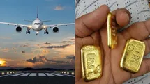خروج چه مقدار طلا و ارز از کشور ممنوع است؟ هشدار رئیس تعزیرات به مسافران