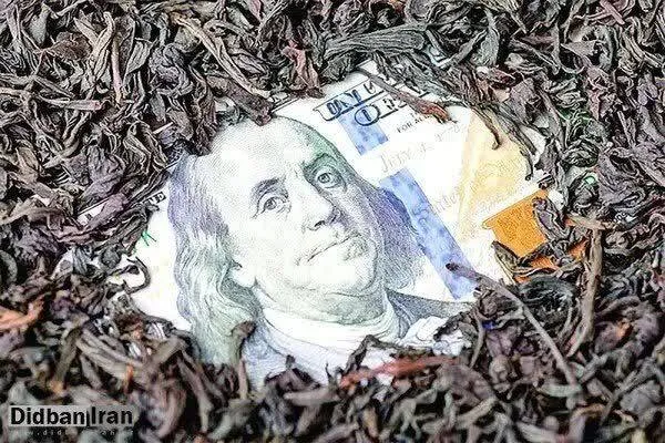نحوه فساد در چای دبش؛ فروش ۲۰۰۰ میلیارد تومان ارز در دبی و واریز به حساب ریالی