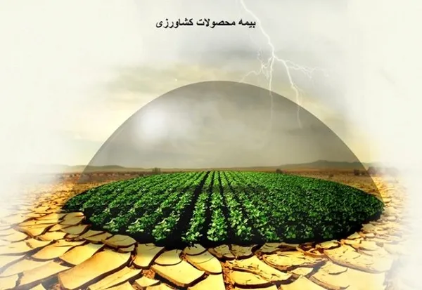 در دوره خشکسالی نیاز به واردات مواد غذایی داریم