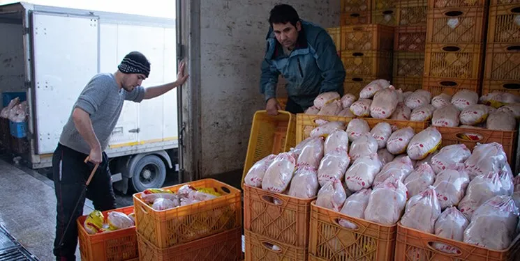 واردات ۵۰ هزار تن گوشت مرغ به گمرک ابلاغ شد