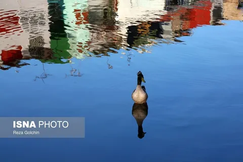 تالاب زیبای انزلی