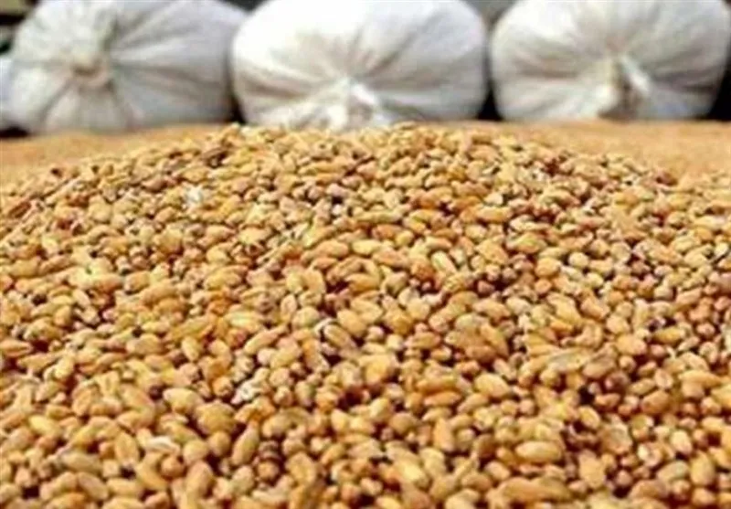رشد ۵۵درصدی ارزش واردات نهاده دامی