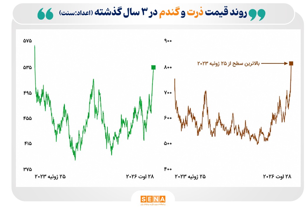 جهش قیمت جهانی ذرت و گندم به بالاترین سطح در ۳ سال اخیر